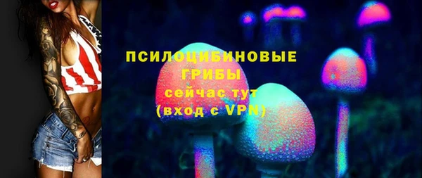 МДМА Медвежьегорск