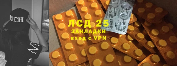 стафф Медногорск