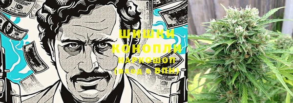 герыч Мегион