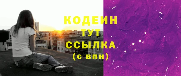 герыч Мегион
