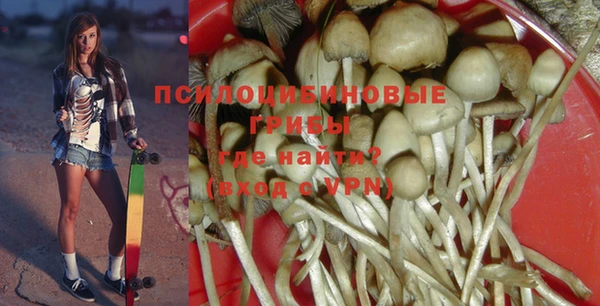 стафф Медногорск