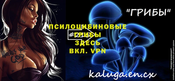 стафф Медногорск