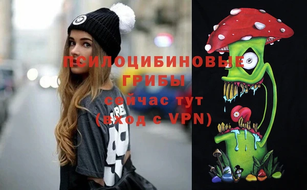 стафф Медногорск