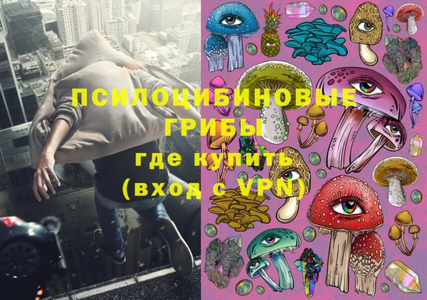 герыч Мегион