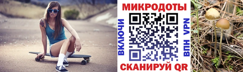 Галлюциногенные грибы Cubensis  Тогучин 